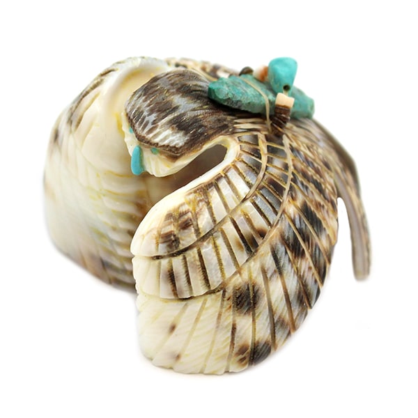 Owl Shell Fetish