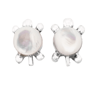 Assorted Inlay Turtle Post Earrings
