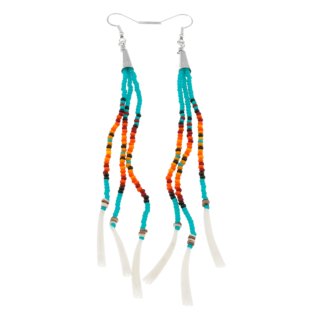 Beaded And Dentalium Shell Earrings