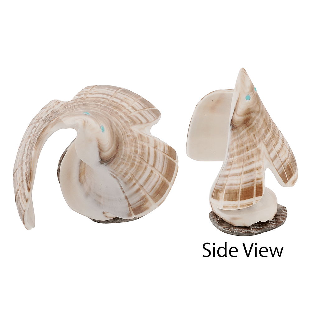 Carved Shell Eagle